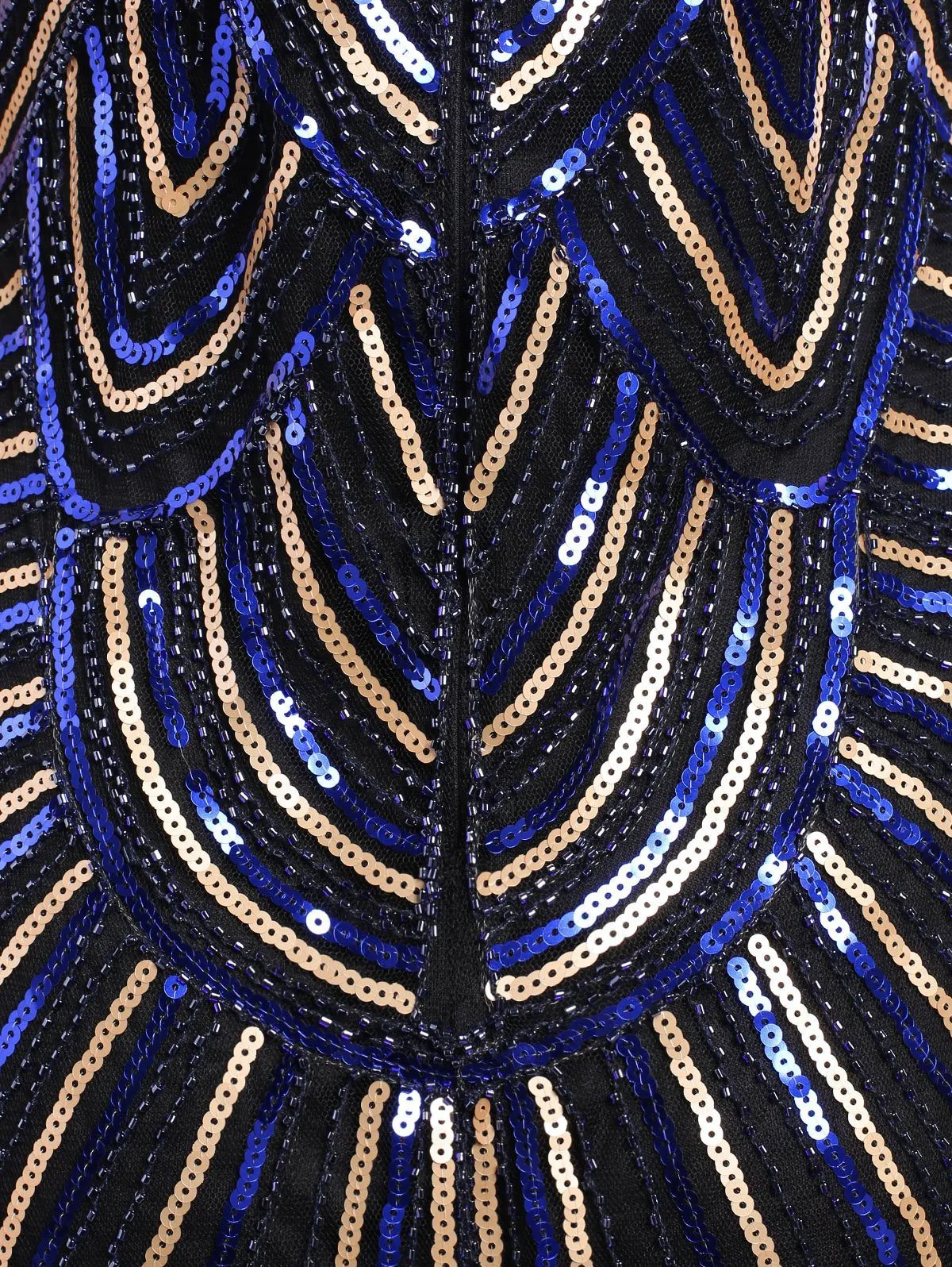 1920s Costume Sequined Embellished Fringed Gatsby Dress