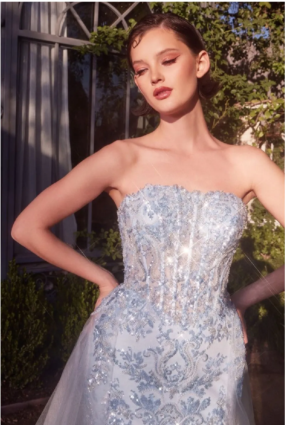 Andrea & Leo Evening Gown A1365