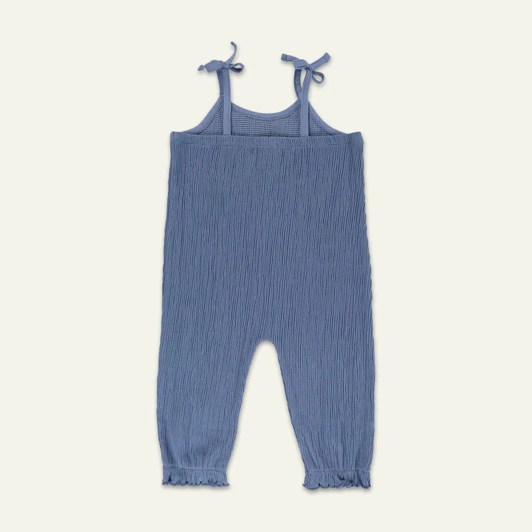 Blue Cat Print Dungarees