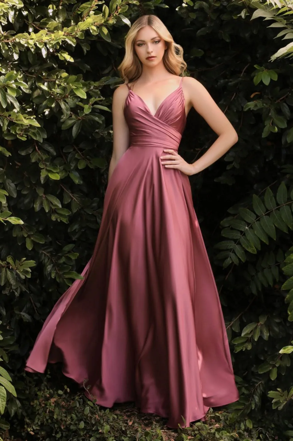 Cinderella Divine 7485