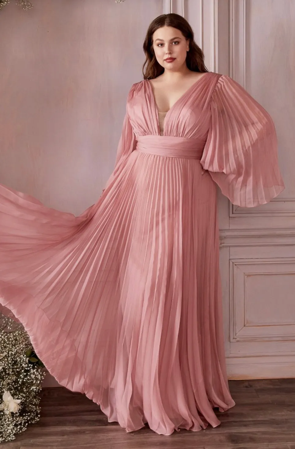 Cinderella Divine CD242c
