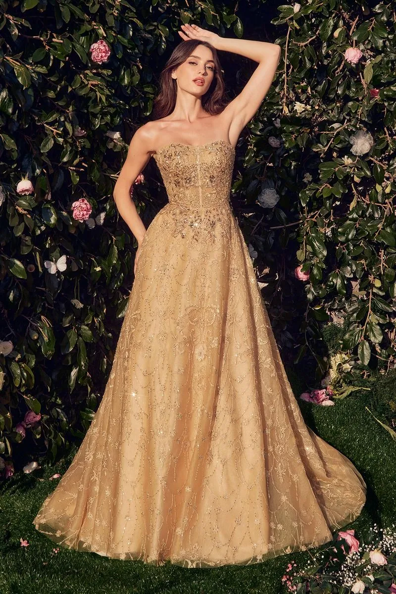 Cinderella Divine MA104