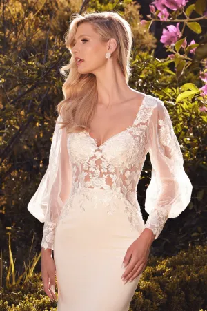 Cinderella Evening Dress A1079W