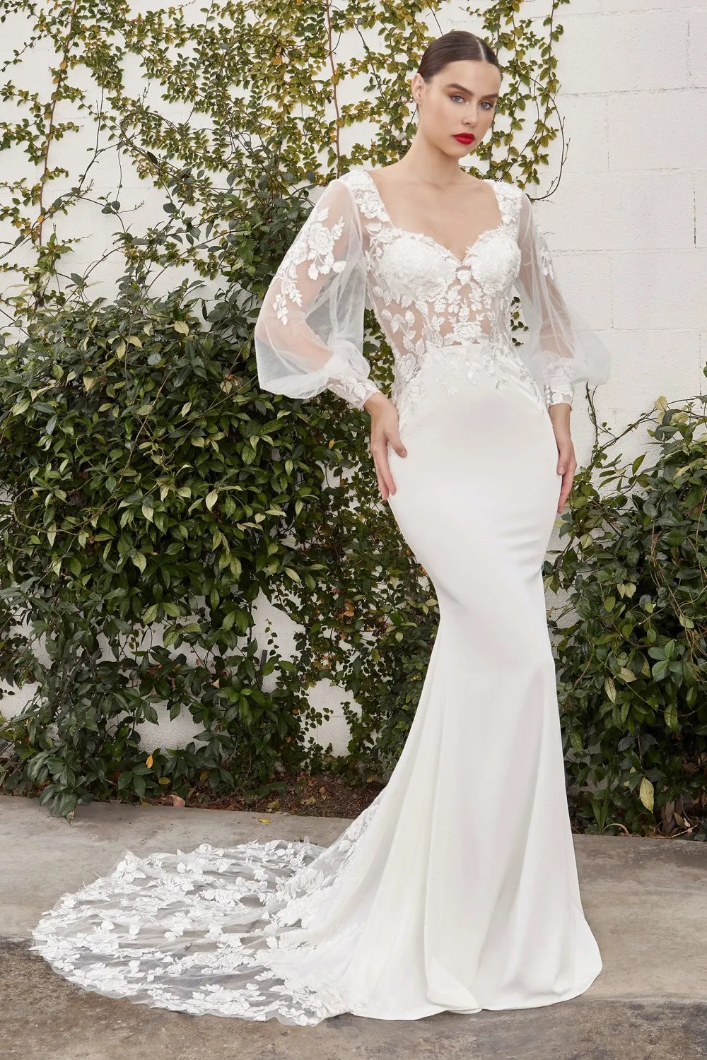 Cinderella Evening Dress A1079W