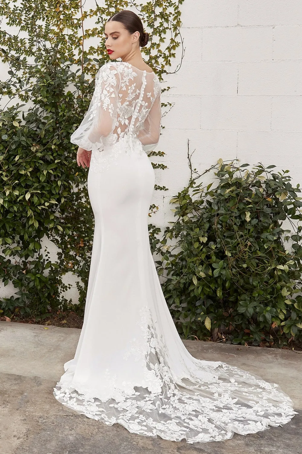 Cinderella Evening Dress A1079W
