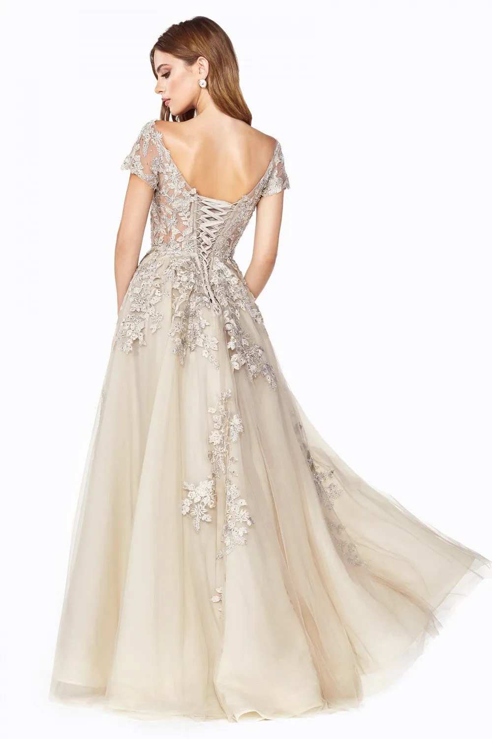 Cinderella Evening Dress C20