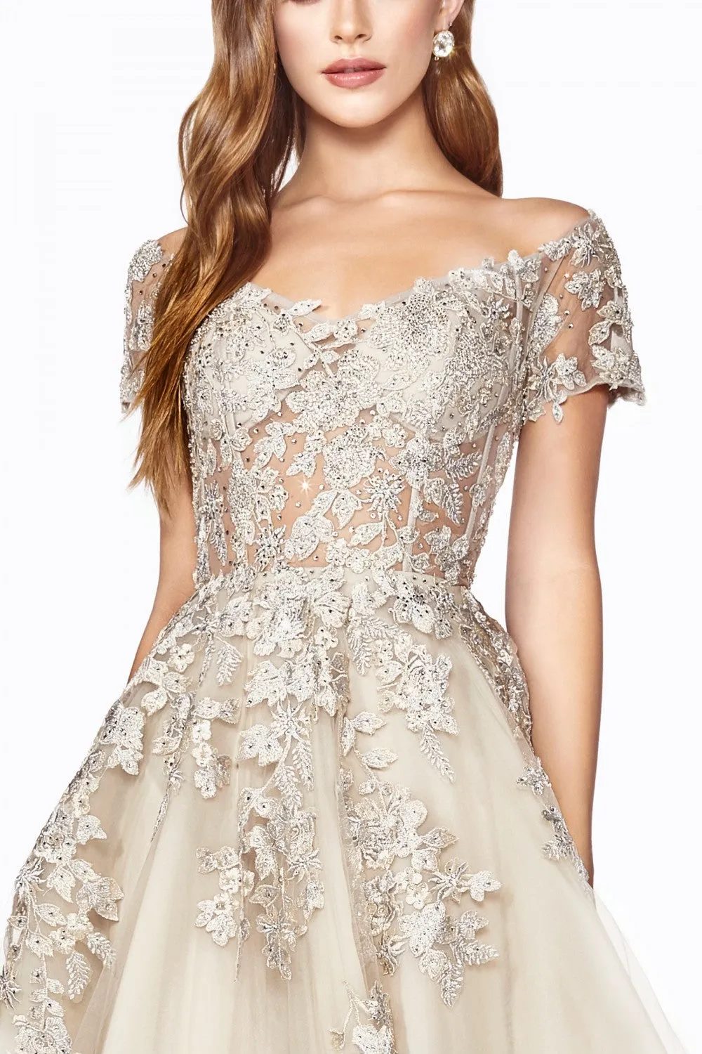 Cinderella Evening Dress C20