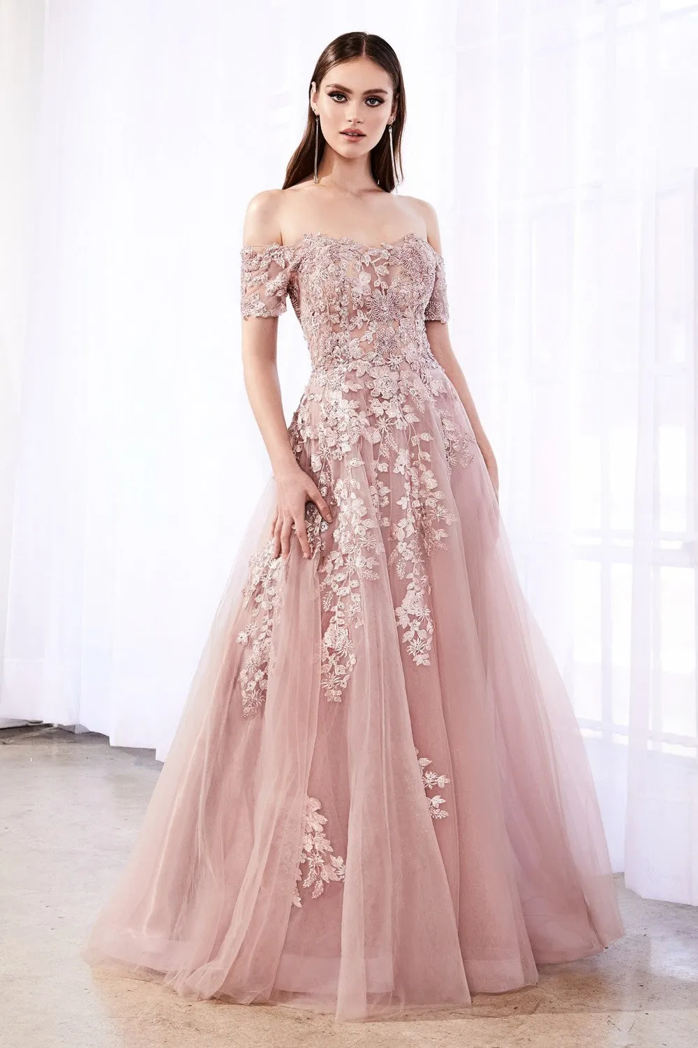 Cinderella Evening Dress C20