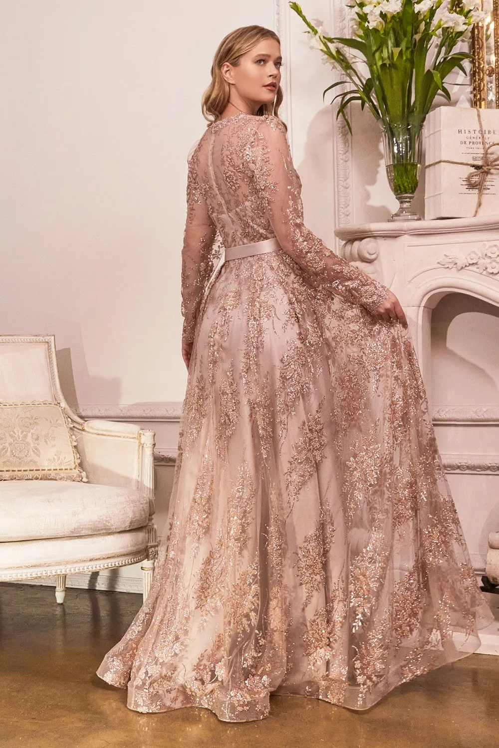 Cinderella Evening Dress CD233C