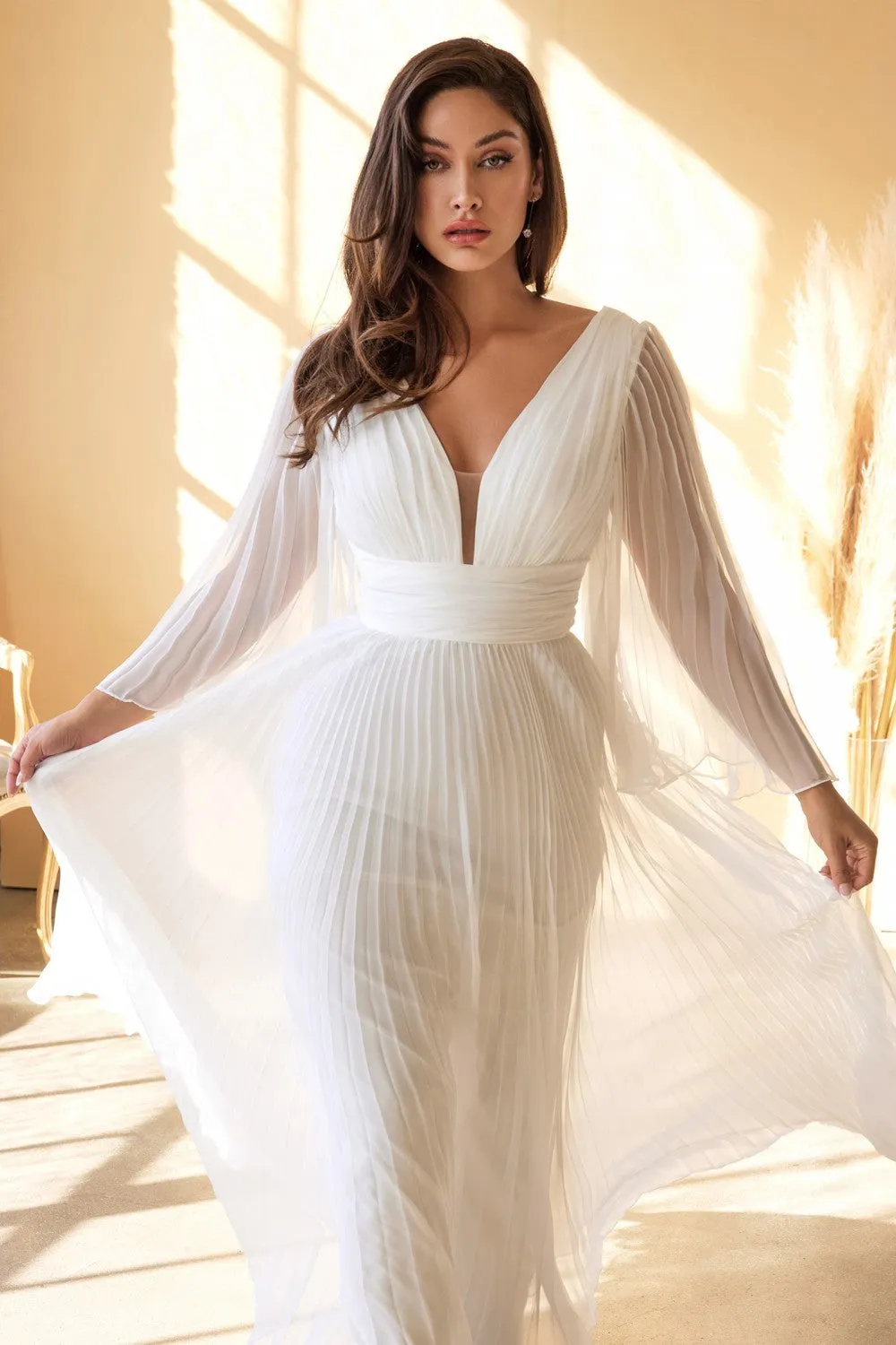 Cinderella Evening Dress CD242W