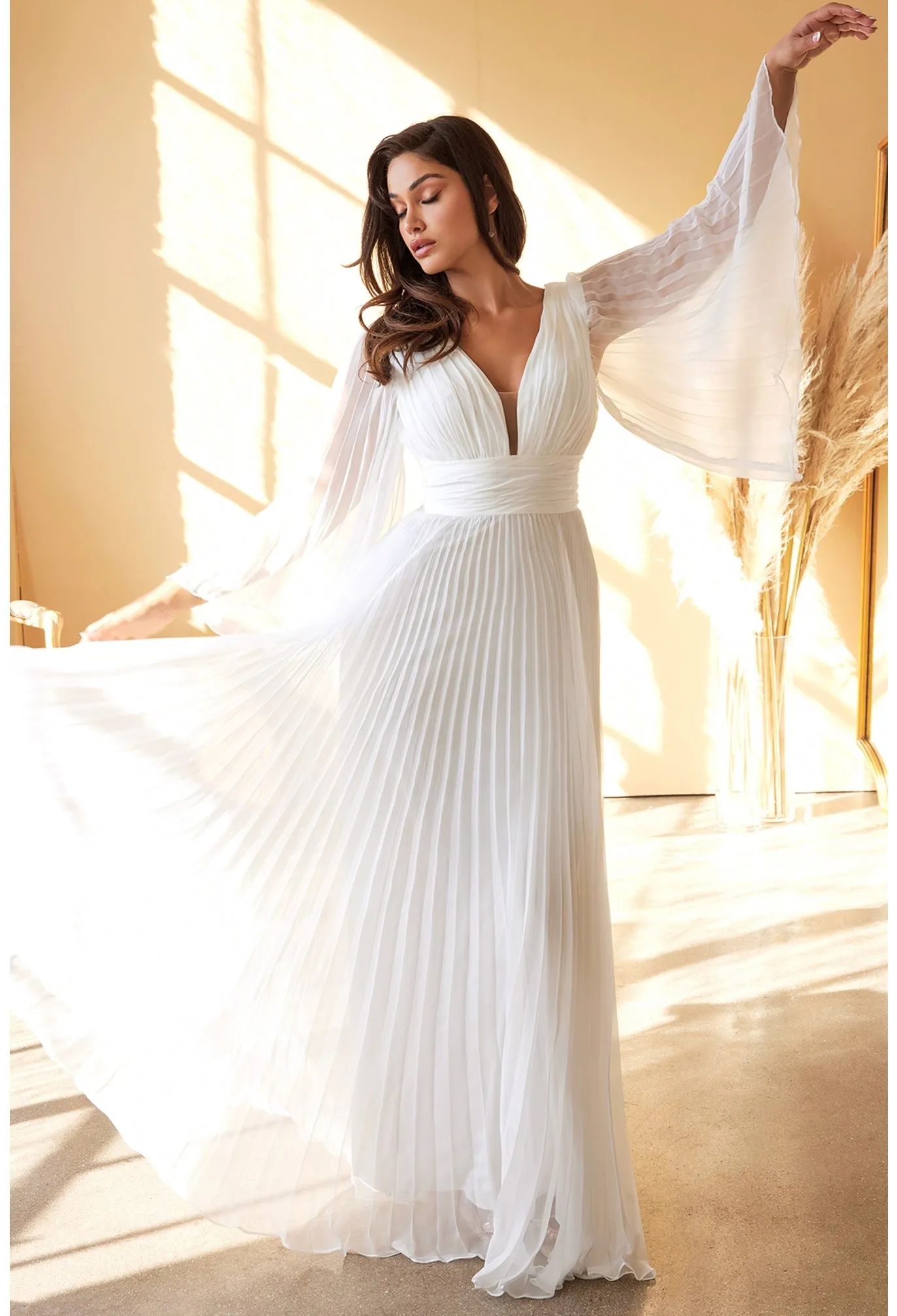 Cinderella Evening Dress CD242W