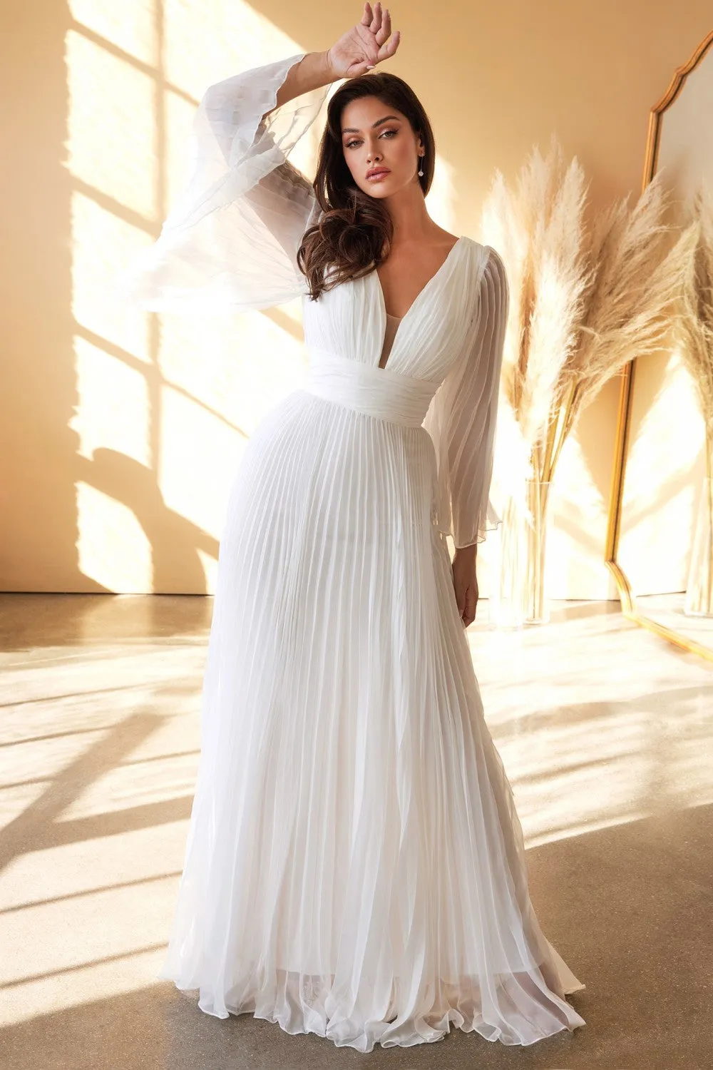 Cinderella Evening Dress CD242W