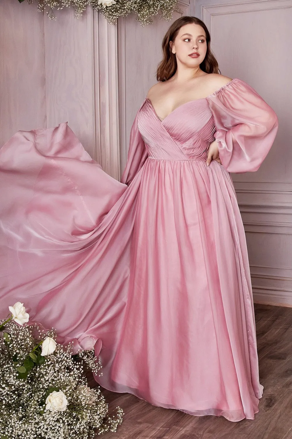 Classic Evening & Prom Dresses Long Sleeves Bodice A-line Chiffon Gown Plus Size Luxury Royal Style CDCD243C
