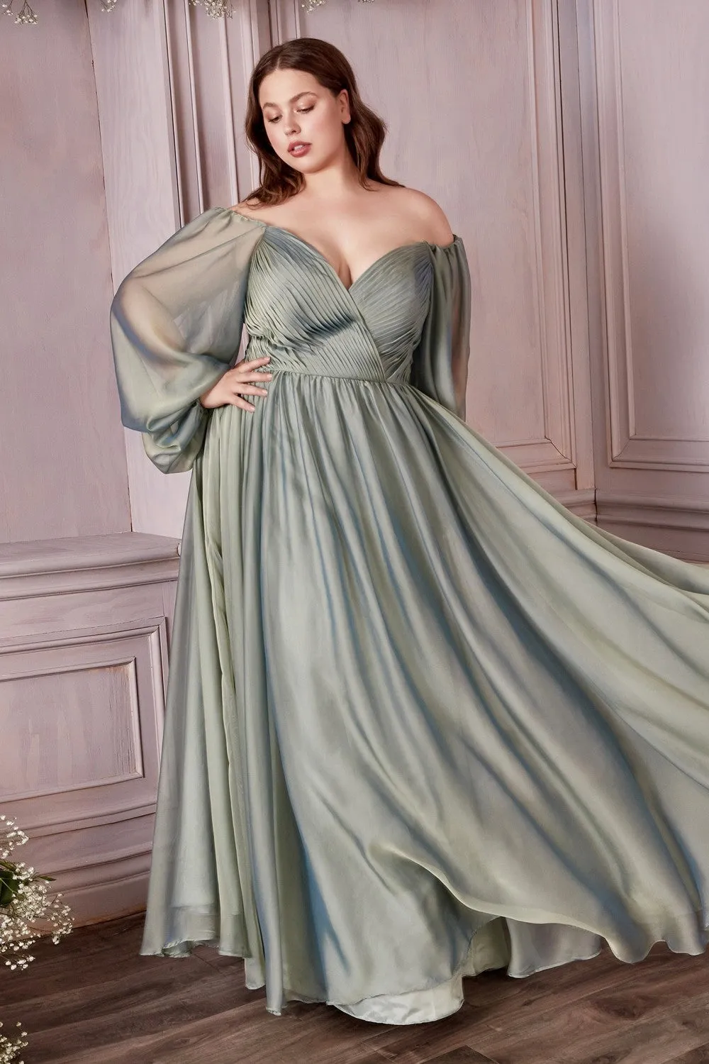 Classic Evening & Prom Dresses Long Sleeves Bodice A-line Chiffon Gown Plus Size Luxury Royal Style CDCD243C