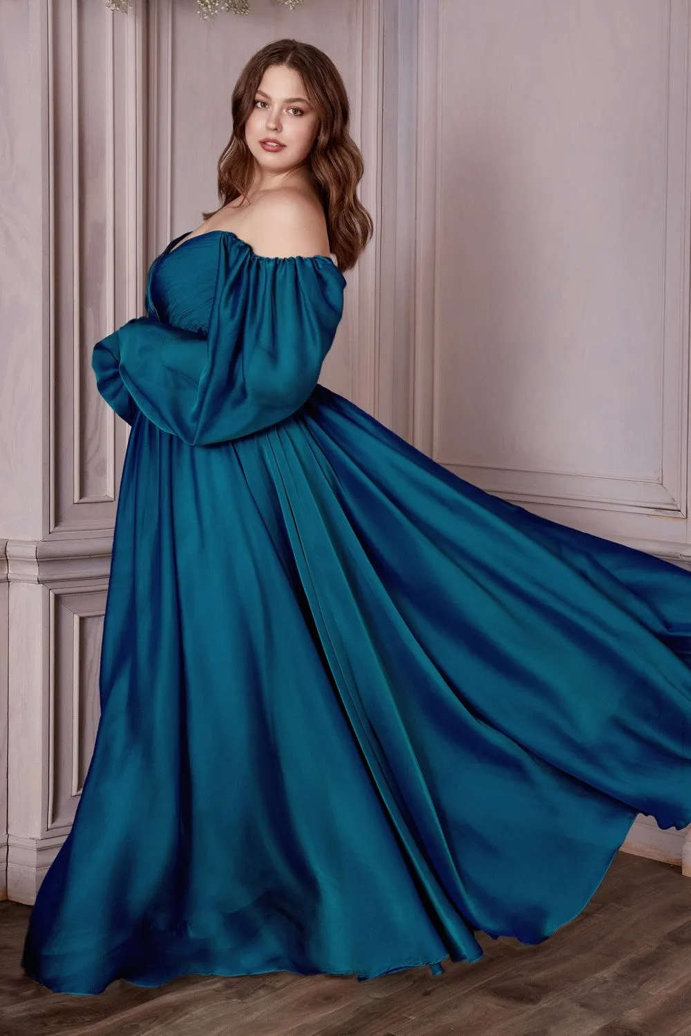 Classic Evening & Prom Dresses Long Sleeves Bodice A-line Chiffon Gown Plus Size Luxury Royal Style CDCD243C