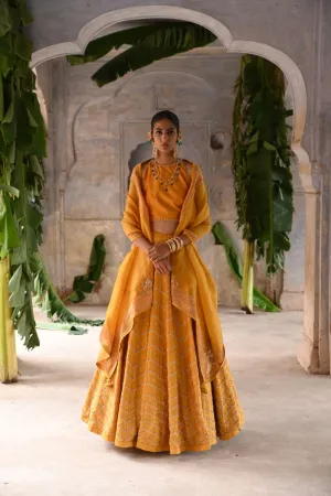 Kyaari mustard yellow hand embroidered lehenga set