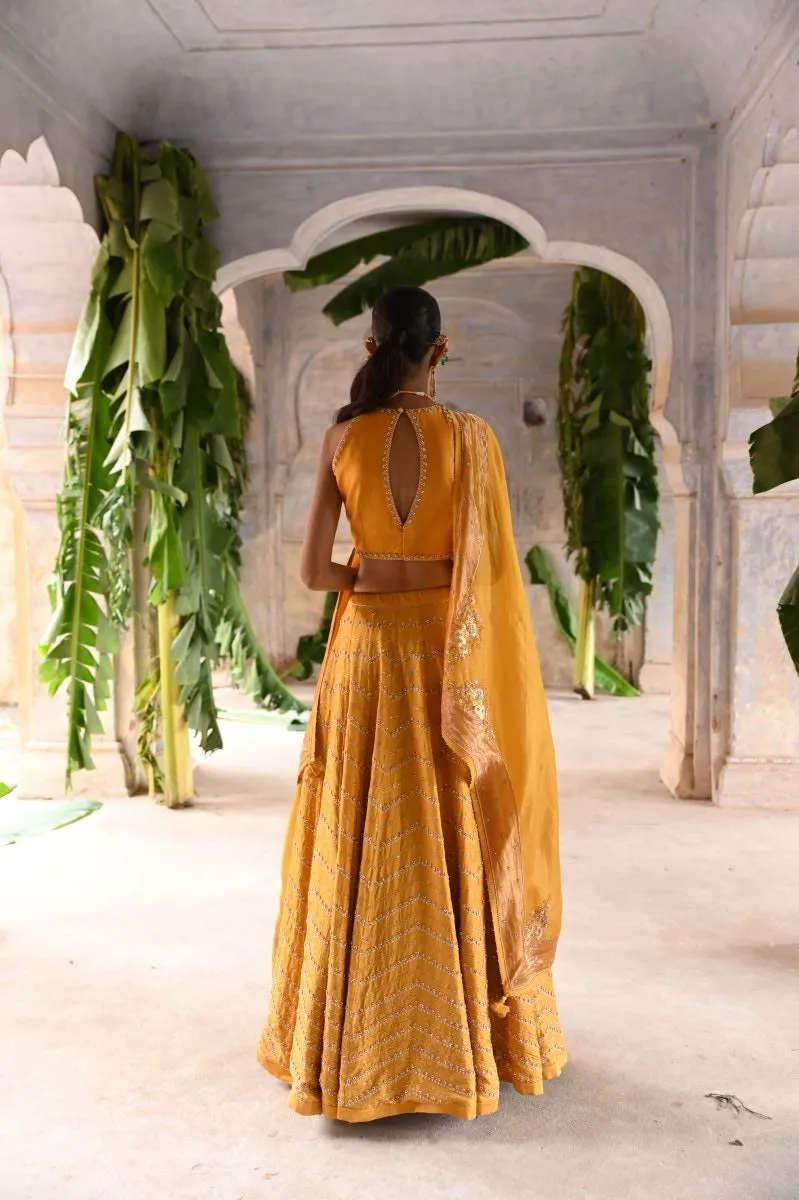 Kyaari mustard yellow hand embroidered lehenga set