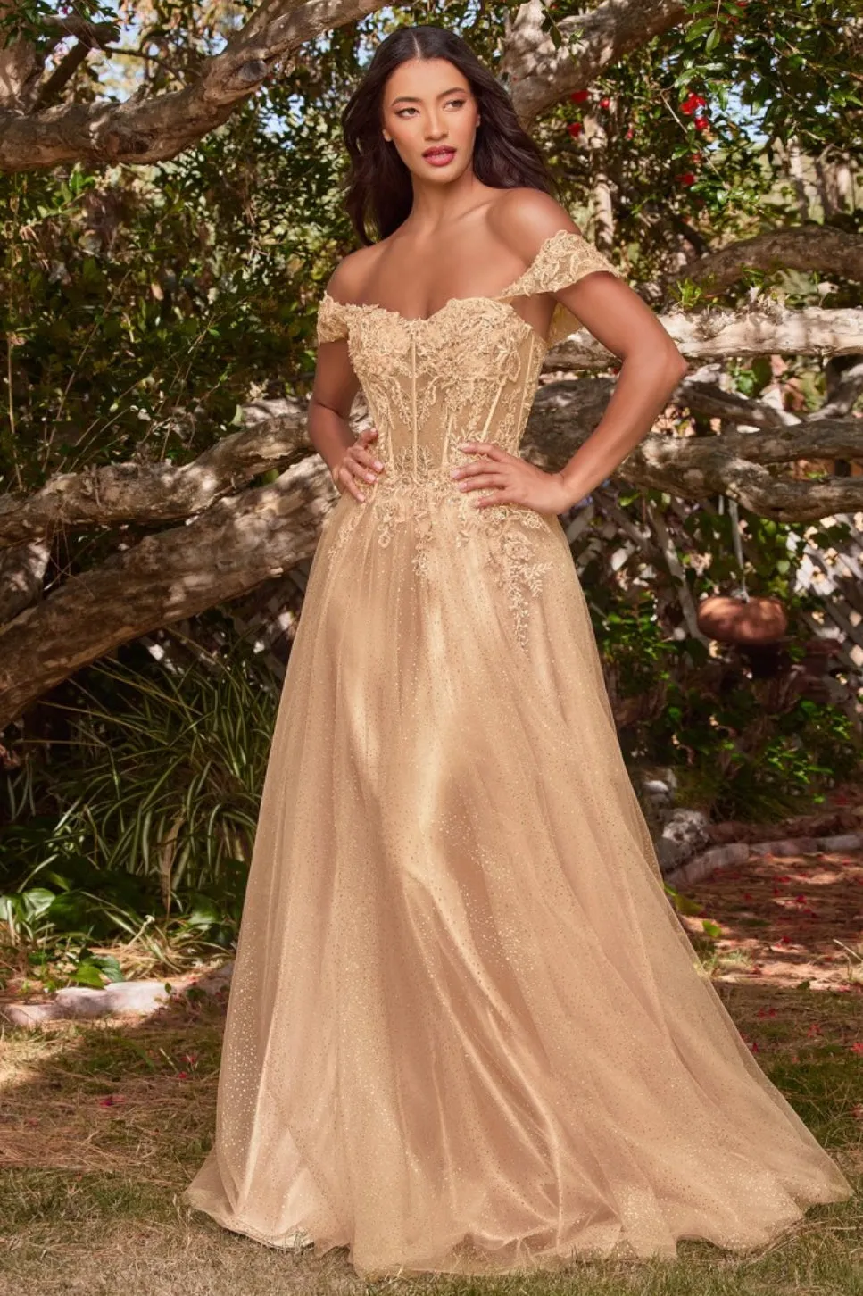 LaDivine by Cinderella Divine CD0198 Evening Gown