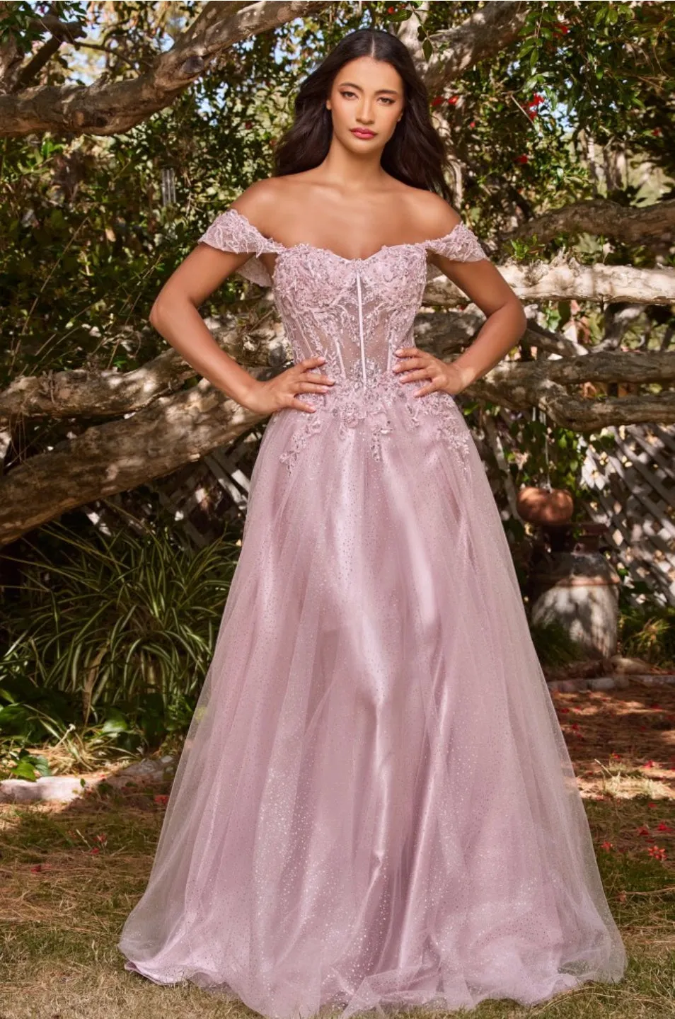 LaDivine by Cinderella Divine CD0198 Evening Gown