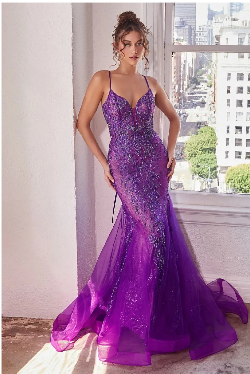 LaDivine by Cinderella Divine Evening Gown CC2253