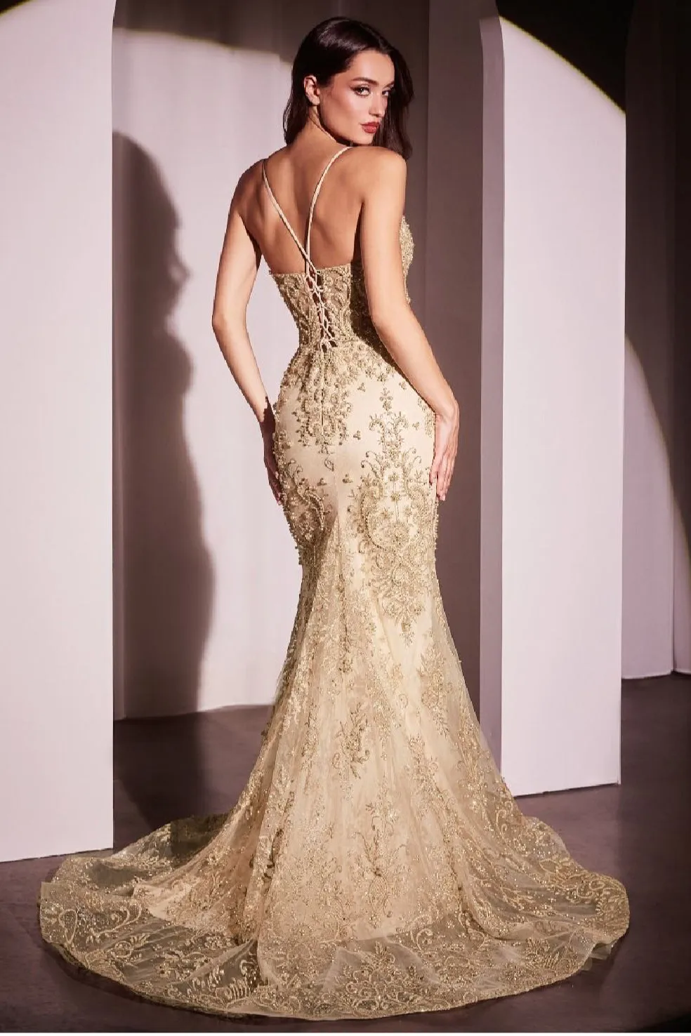 LaDivine by Cinderella Divine Evening Gown CC2403
