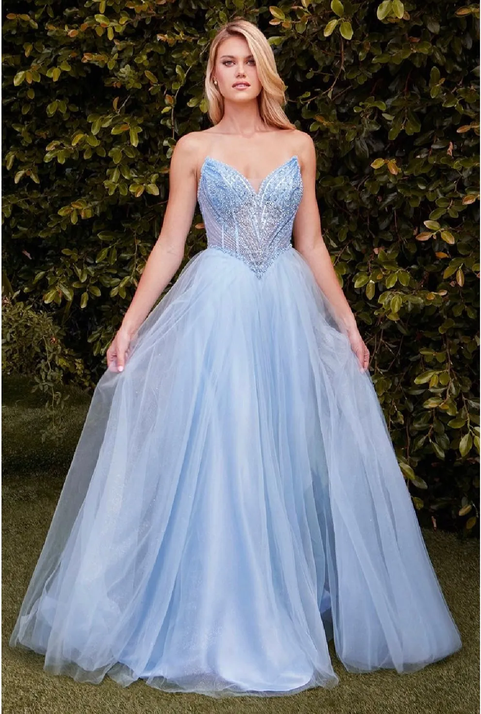 LaDivine by Cinderella Divine Evening Gown CC415