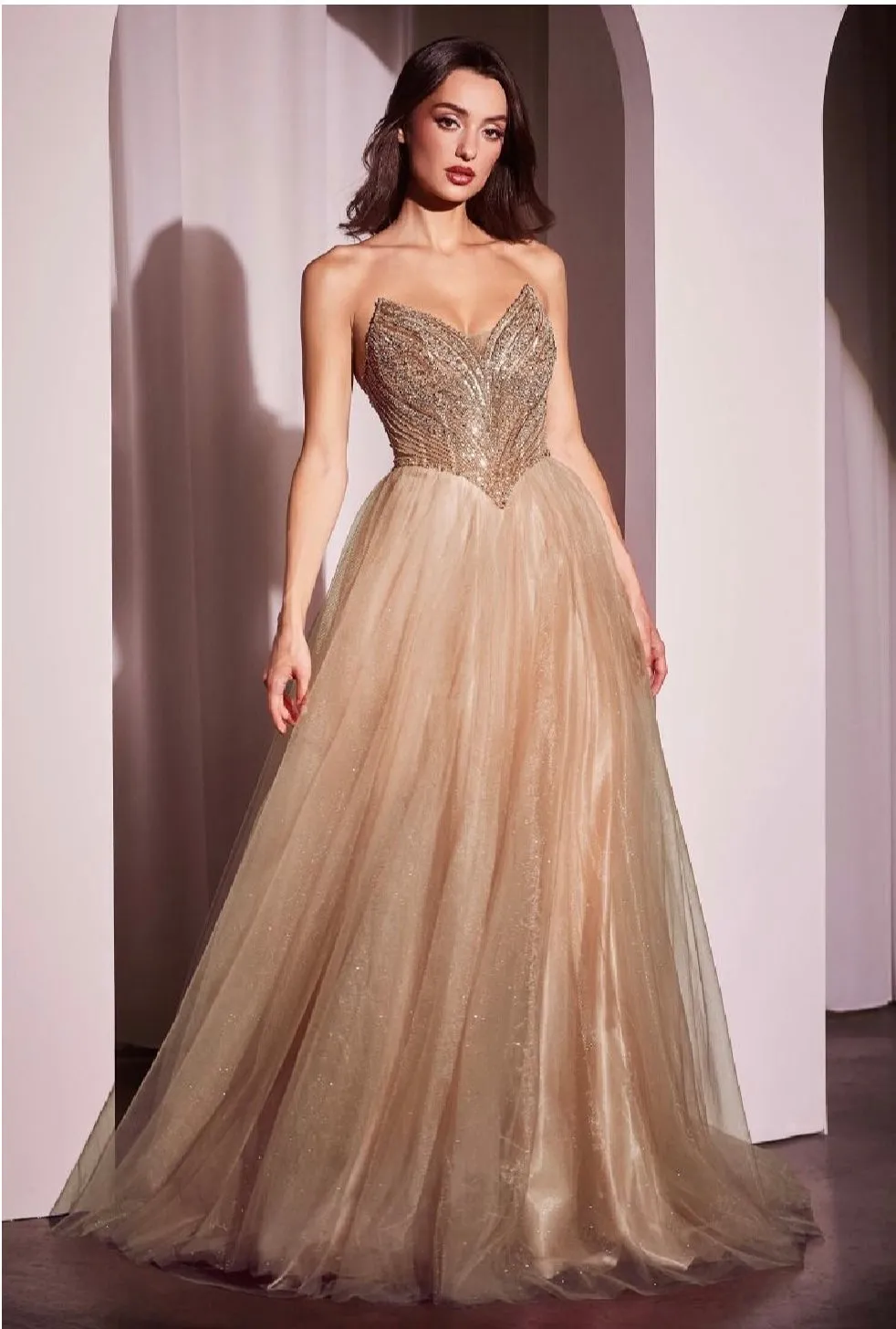 LaDivine by Cinderella Divine Evening Gown CC415