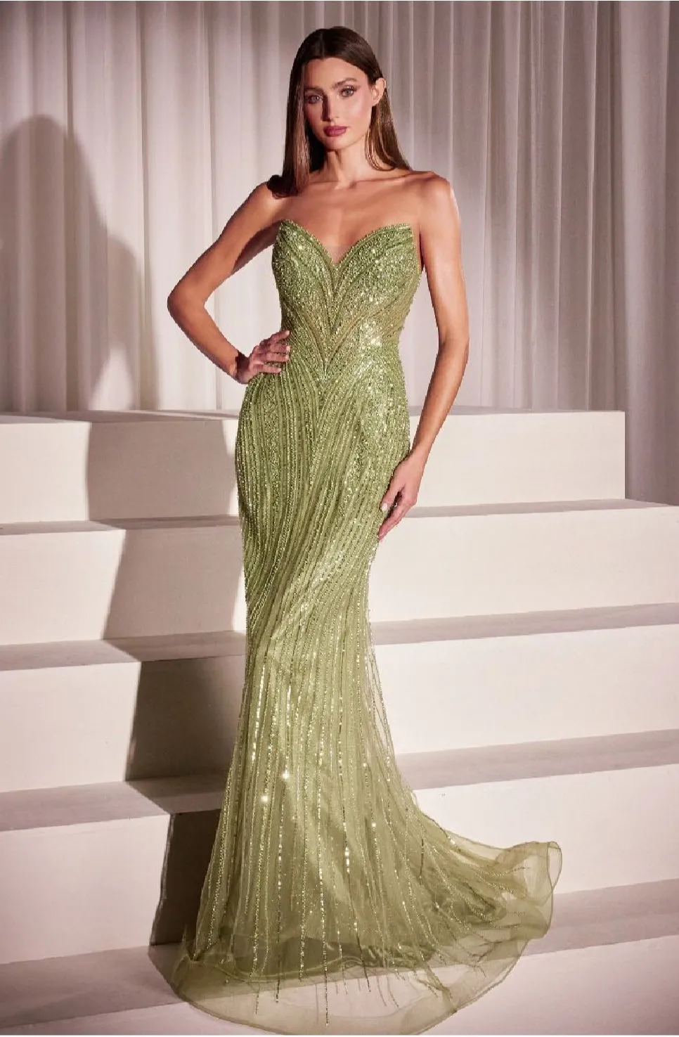 LaDivine by Cinderella Divine Evening Gown CC416
