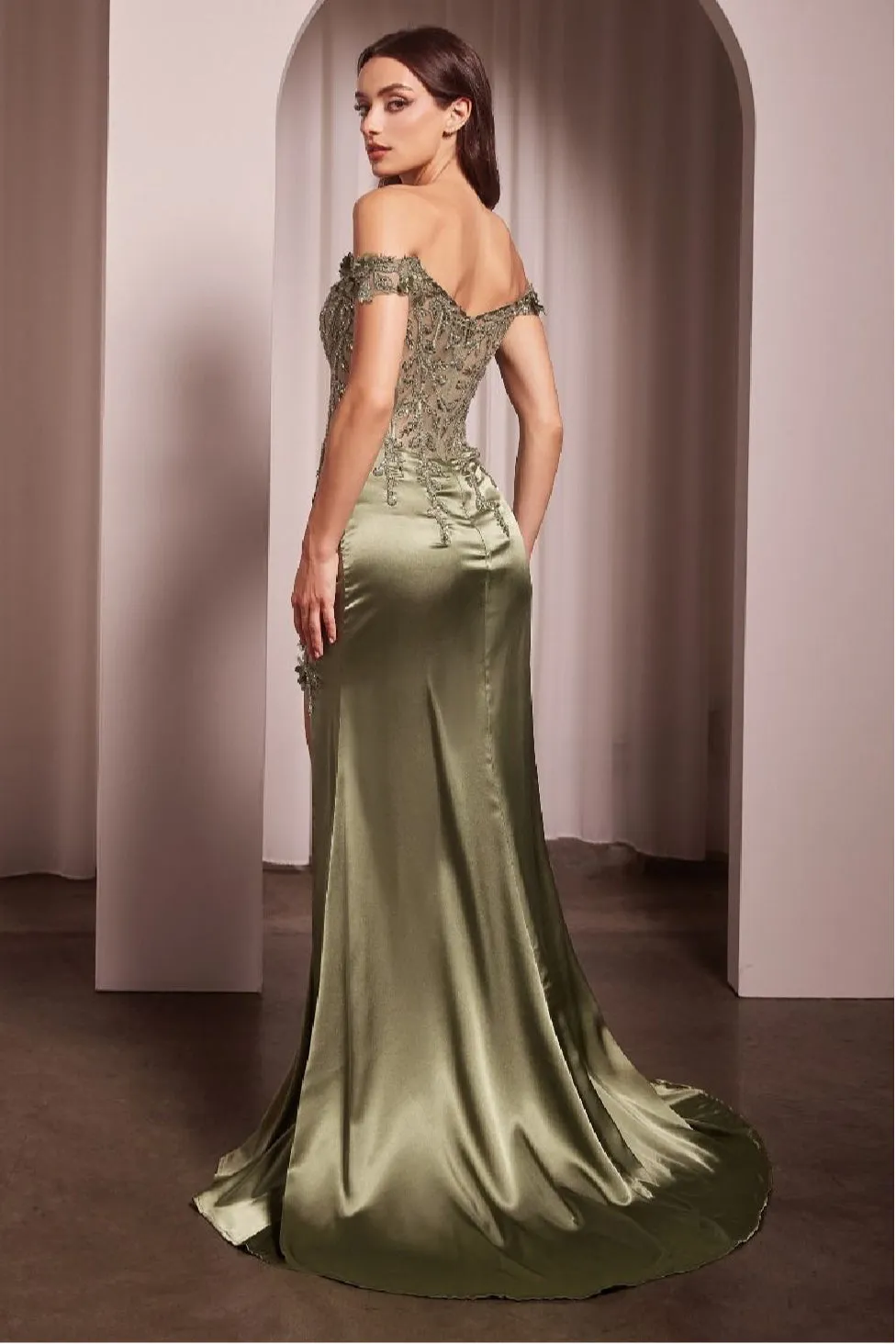LaDivine by Cinderella Divine Evening Gown CD0186