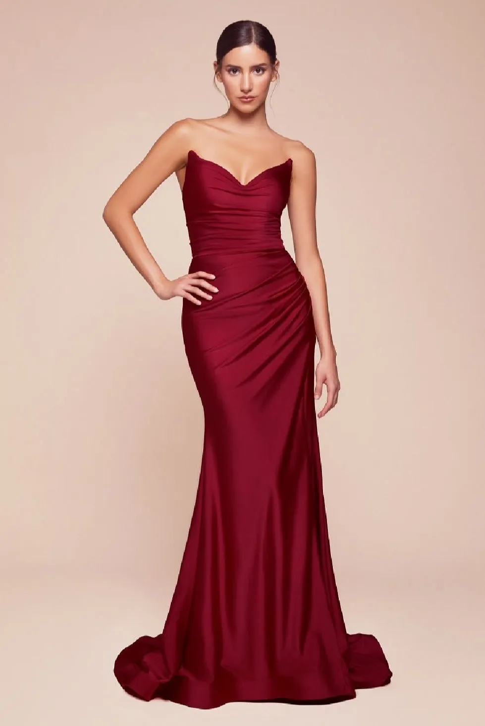 LaDivine by Cinderella Divine Evening Gown CD791 pt.2