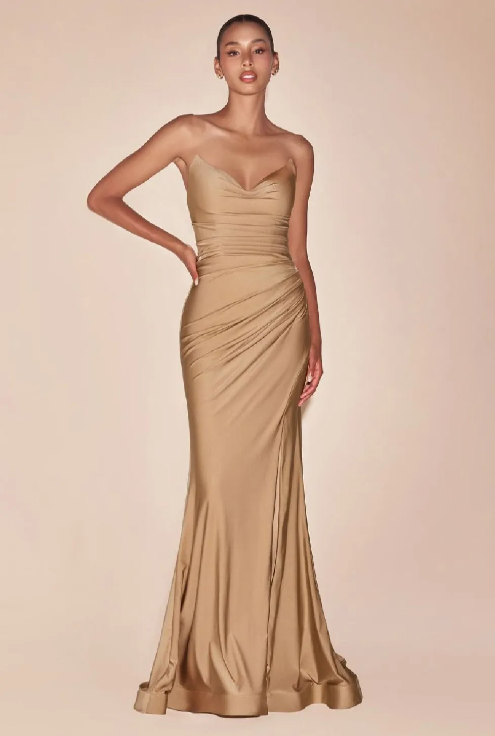 LaDivine by Cinderella Divine Evening Gown CD791 pt.2