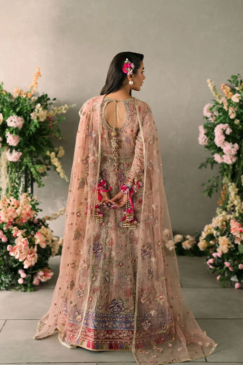 MUSHQ | Mastani Evening Luxury Chiffon Collection | SONA