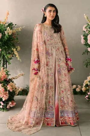 MUSHQ | Mastani Evening Luxury Chiffon Collection | SONA