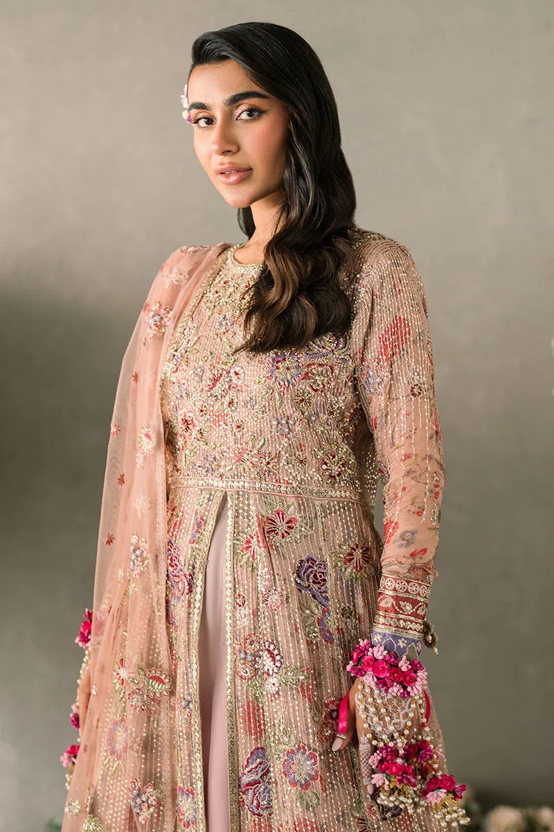 MUSHQ | Mastani Evening Luxury Chiffon Collection | SONA