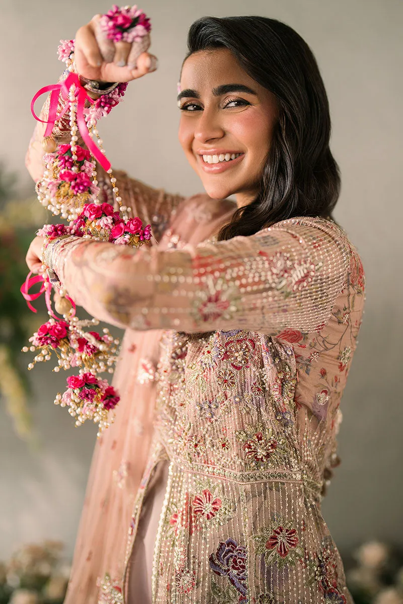 MUSHQ | Mastani Evening Luxury Chiffon Collection | SONA