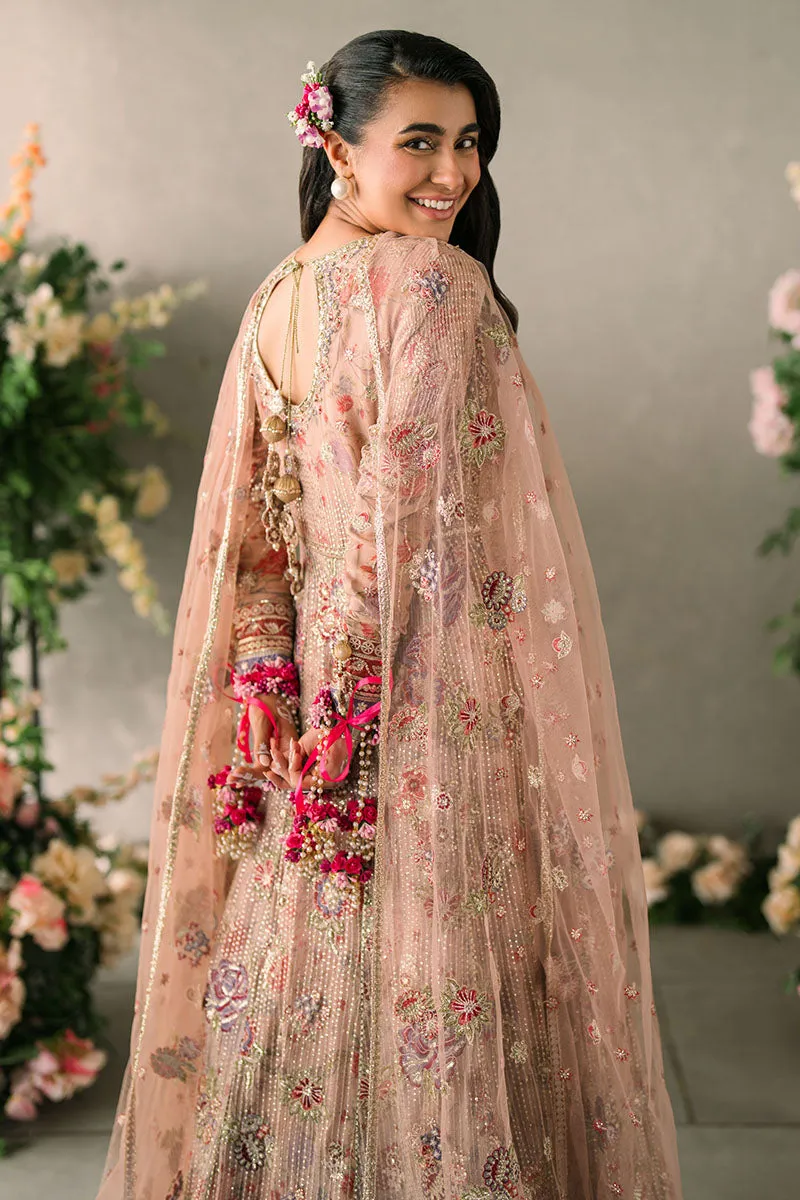 MUSHQ | Mastani Evening Luxury Chiffon Collection | SONA