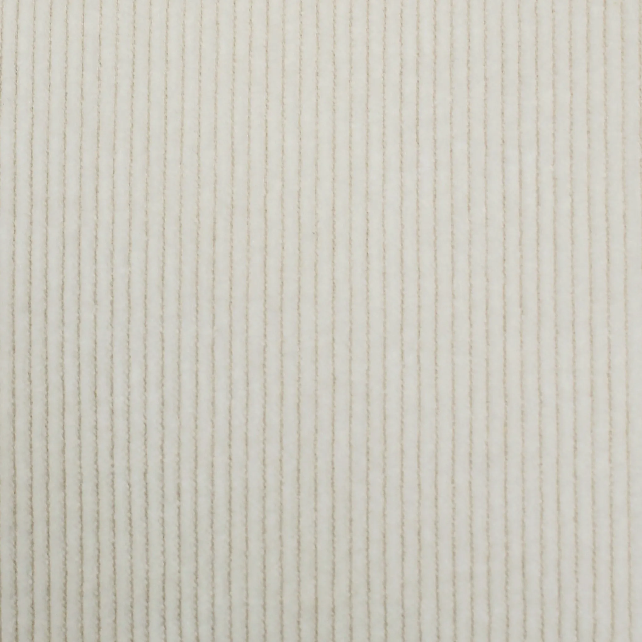 MYTHS Cord Trouser