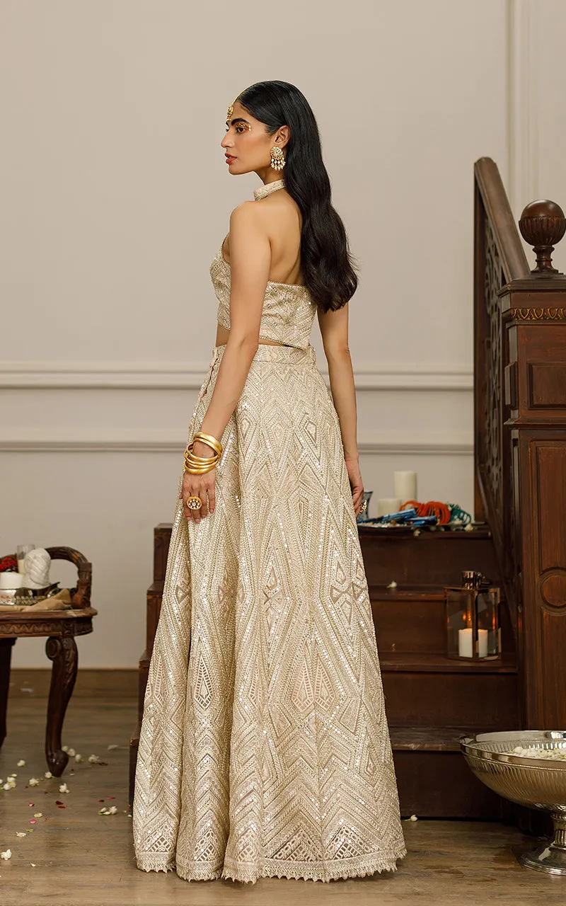 Organza Embroidered Blouse With Lehenga