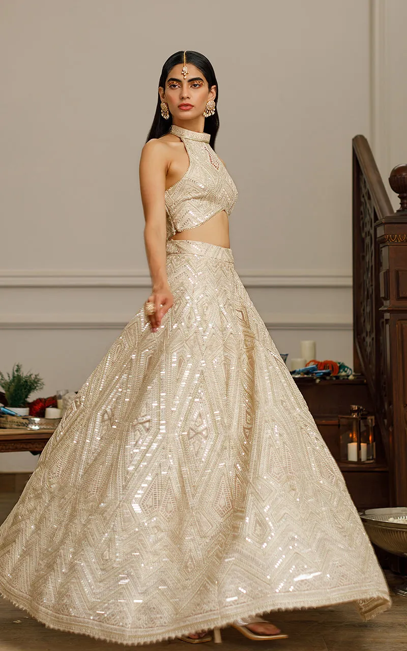 Organza Embroidered Blouse With Lehenga