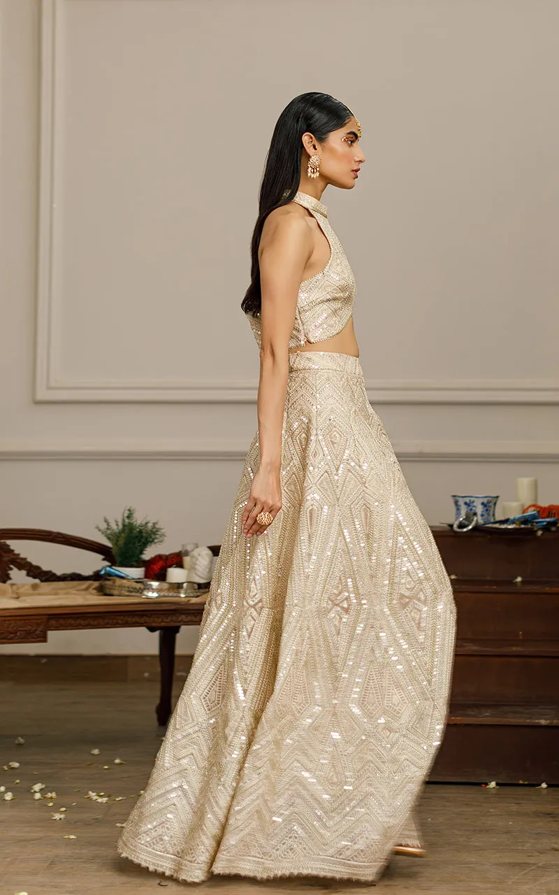 Organza Embroidered Blouse With Lehenga