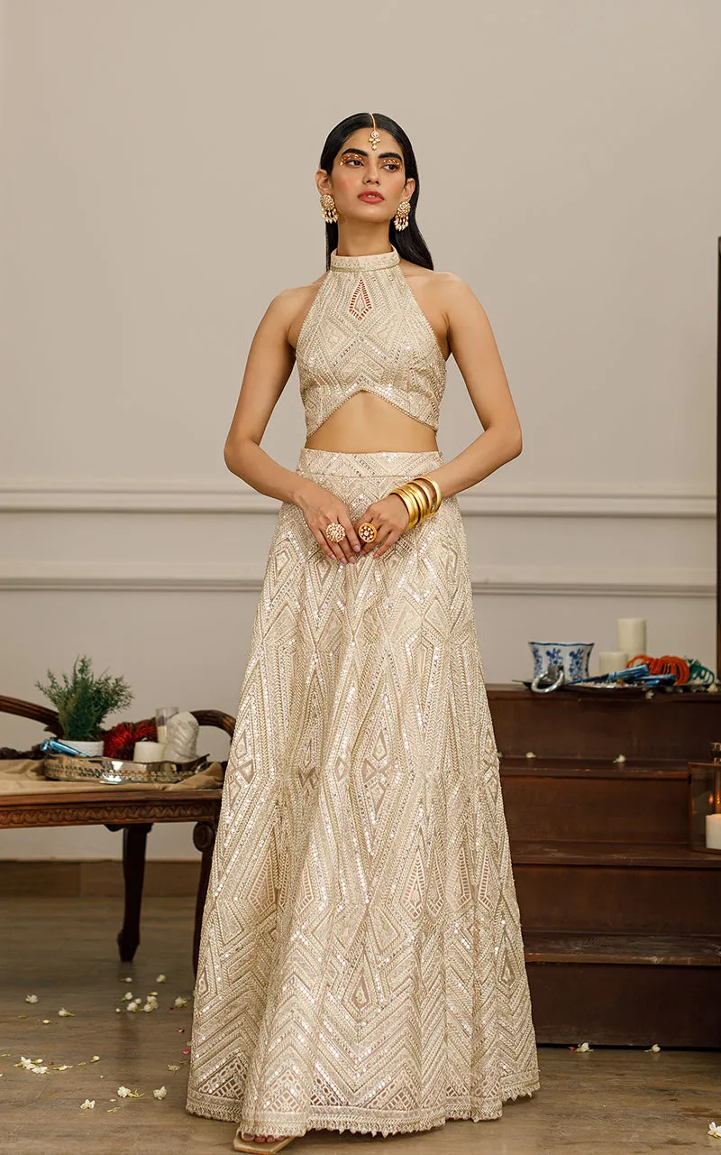 Organza Embroidered Blouse With Lehenga