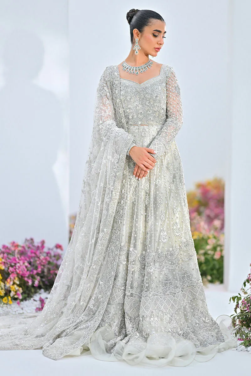 Pakistani Bridal Lehenga Gown and Dupatta