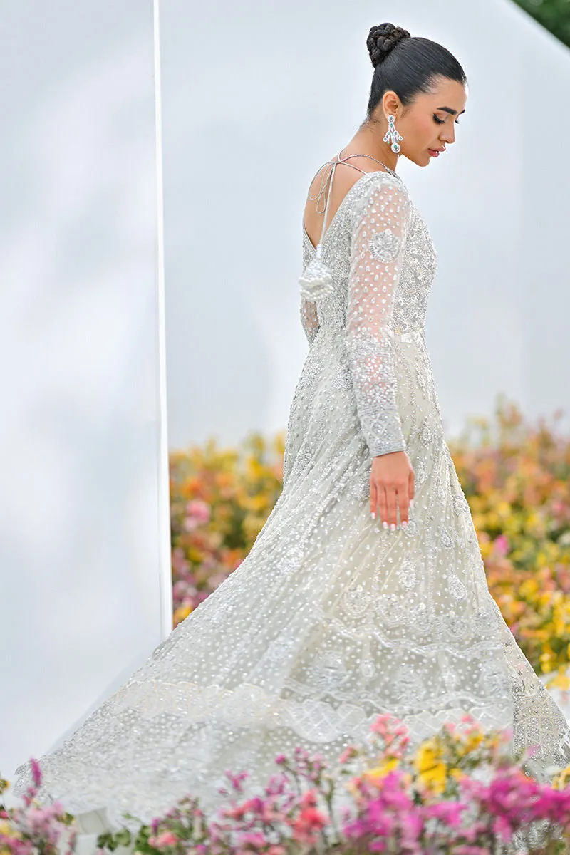 Pakistani Bridal Lehenga Gown and Dupatta