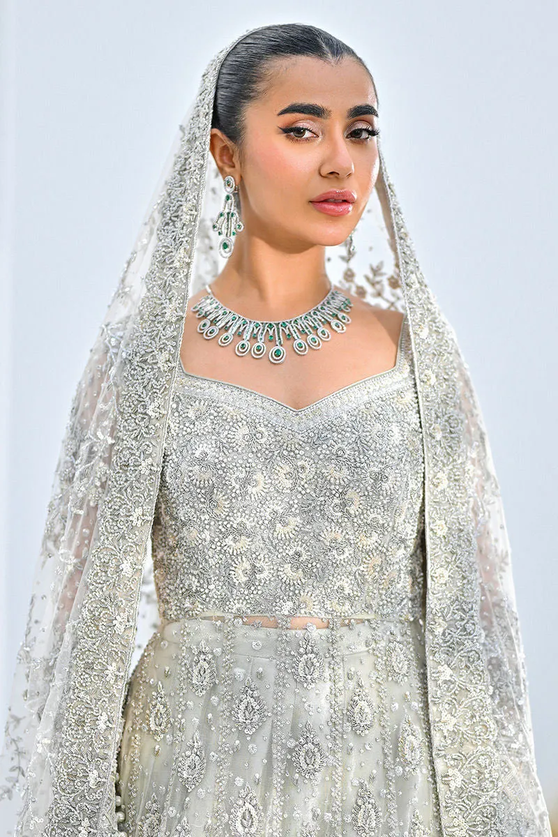 Pakistani Bridal Lehenga Gown and Dupatta