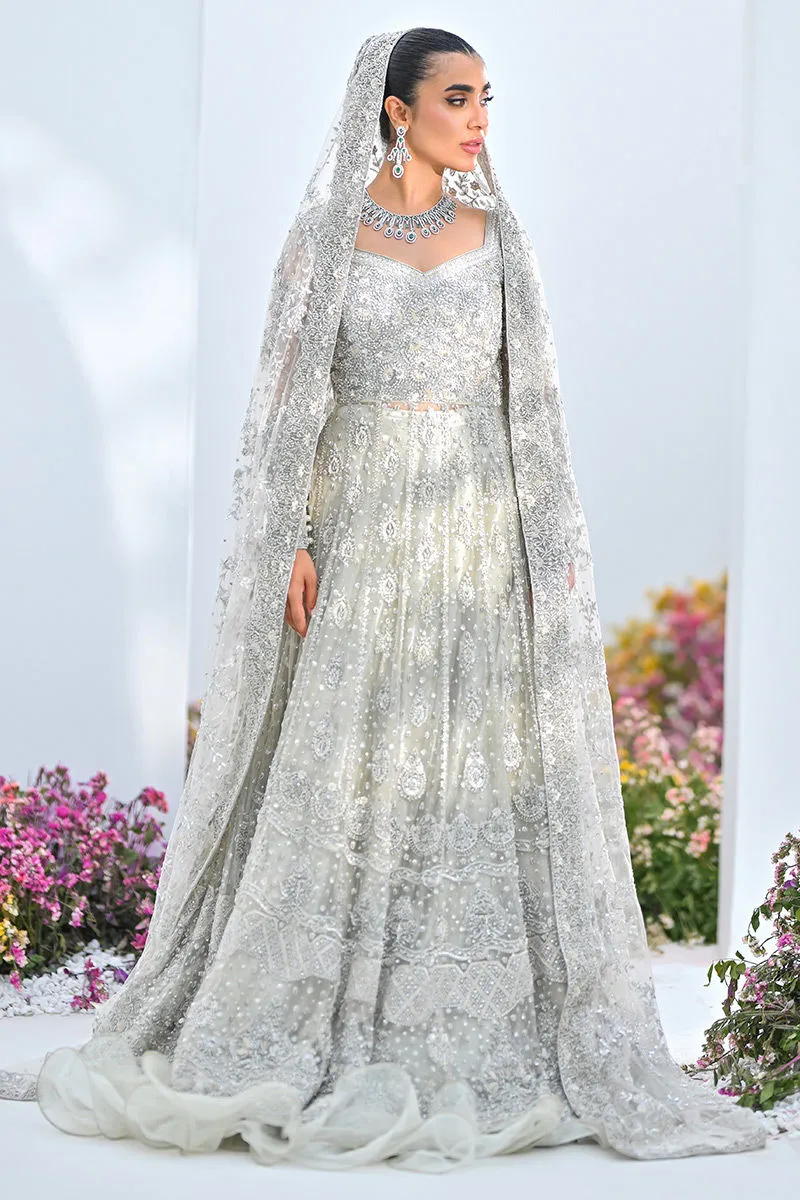 Pakistani Bridal Lehenga Gown and Dupatta