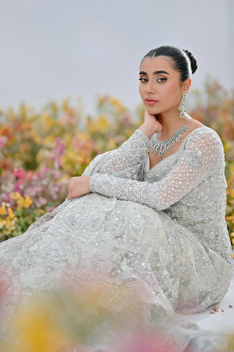 Pakistani Bridal Lehenga Gown and Dupatta