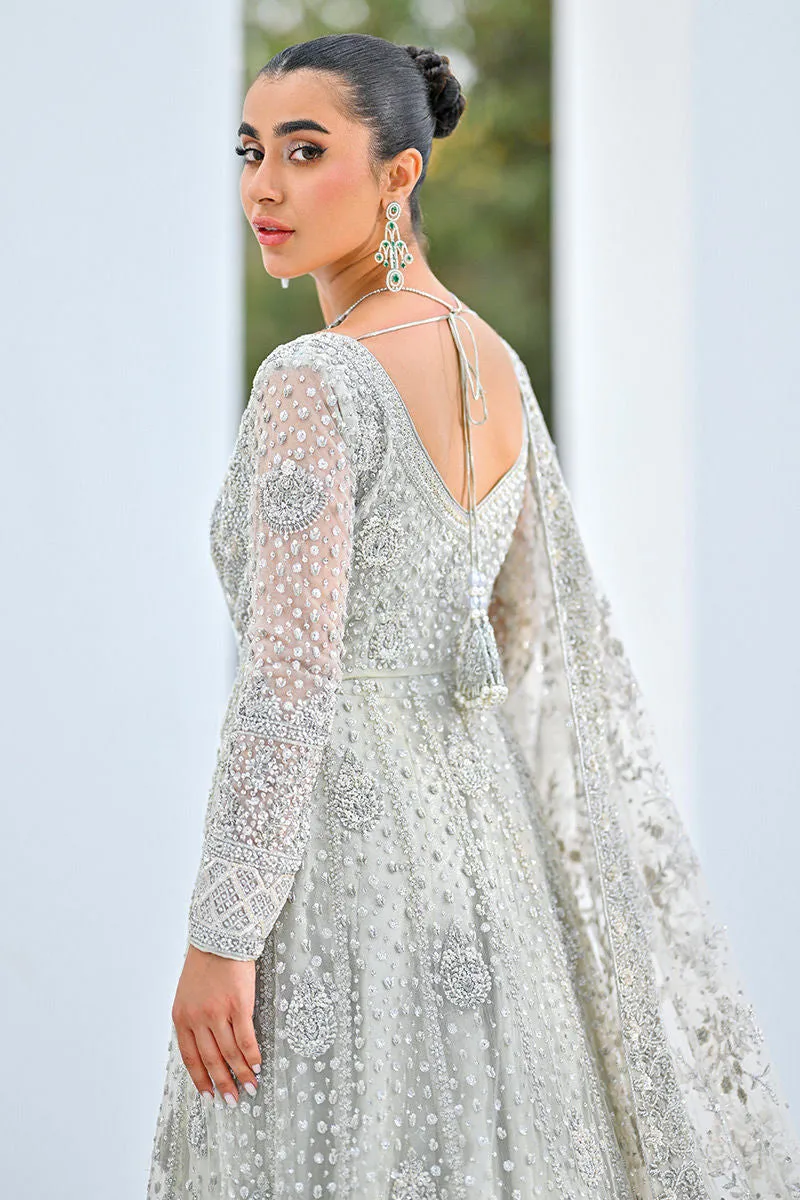 Pakistani Bridal Lehenga Gown and Dupatta