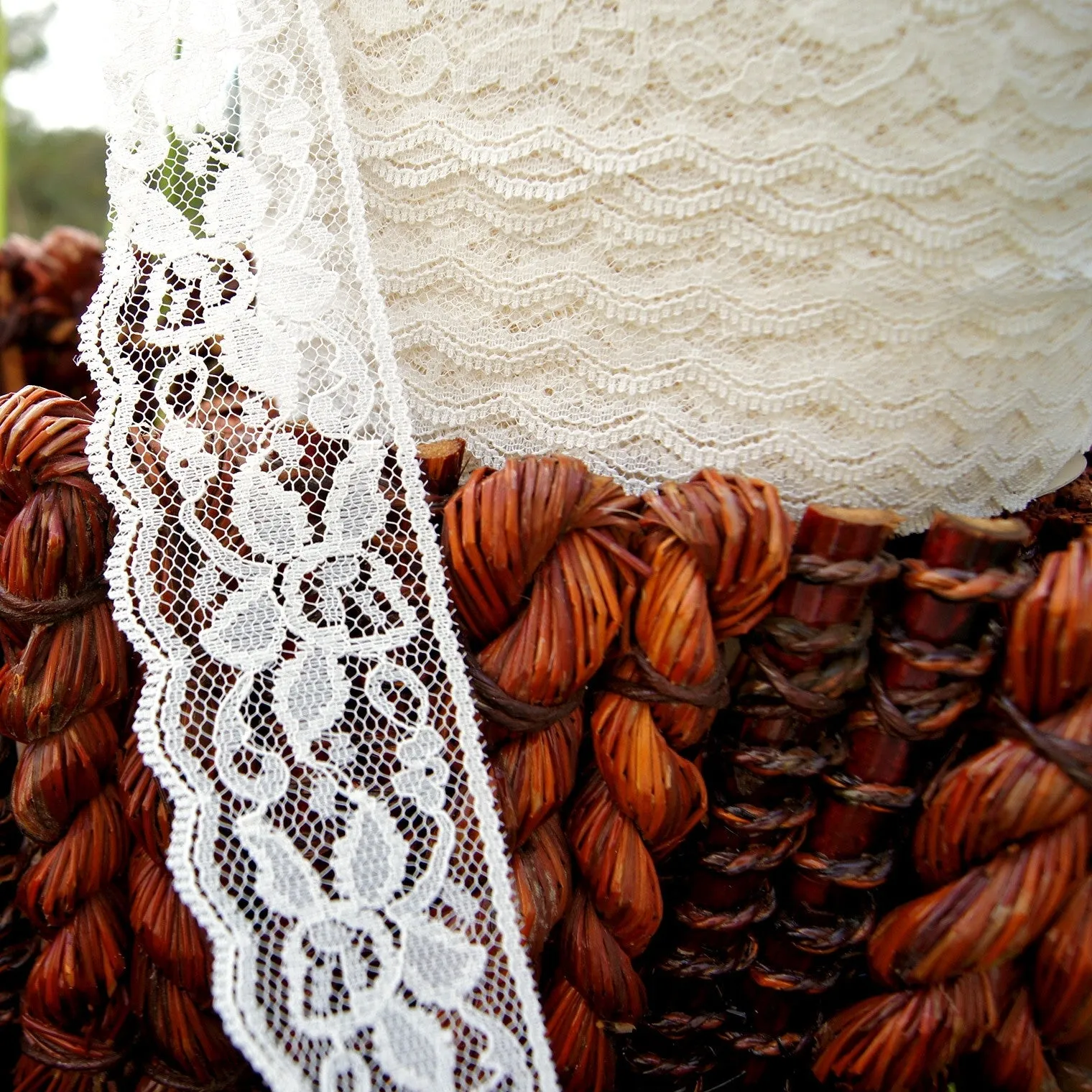 Pretty Flower Light Beige Scalloped Lace 1⅝" Wide