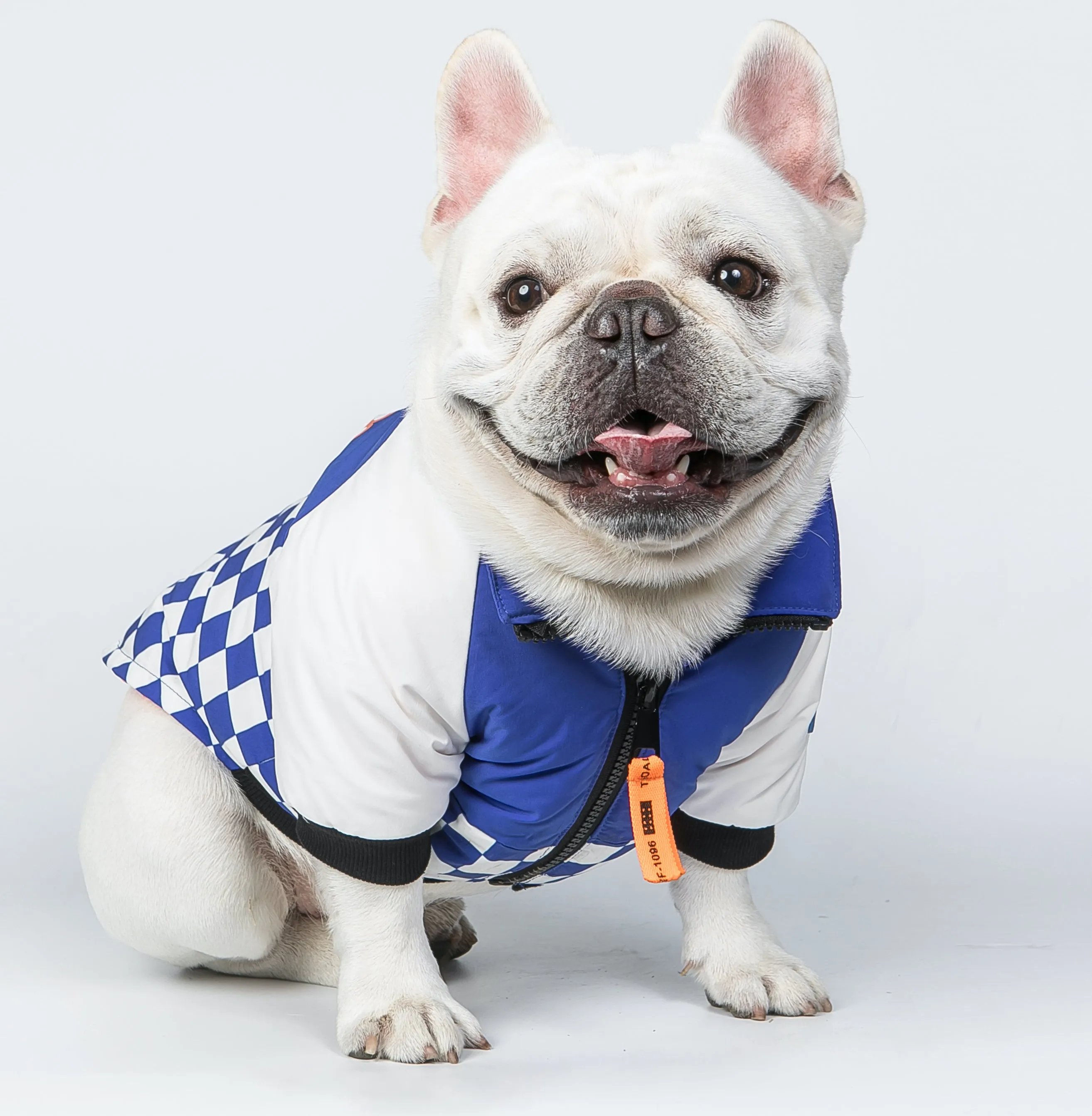 Sport Down Jacket Thick Coat for All Pets, Dogs and Cats